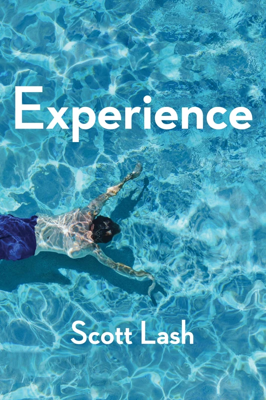 Experience: New Foundations for the Human Sciences - Image 1