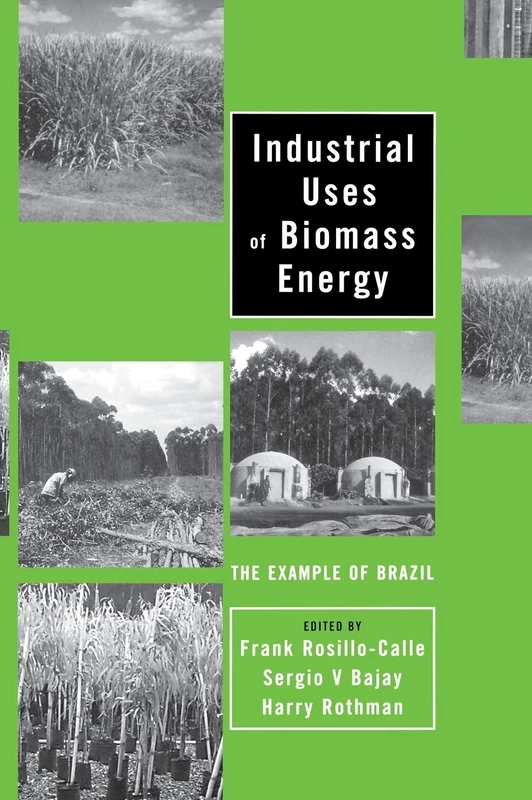 Industrial Uses of Biomass Energy: The Example of Brazil