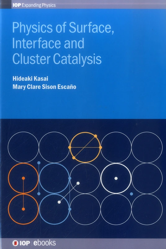 Physics of Surface, Interface and Cluster Catalysis (Iop Expanding Physics)