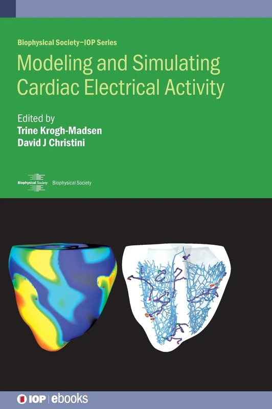Modeling and Simulating Cardiac Electrical Activity (Biophysical Society-IOP Series) (IOP ebooks)