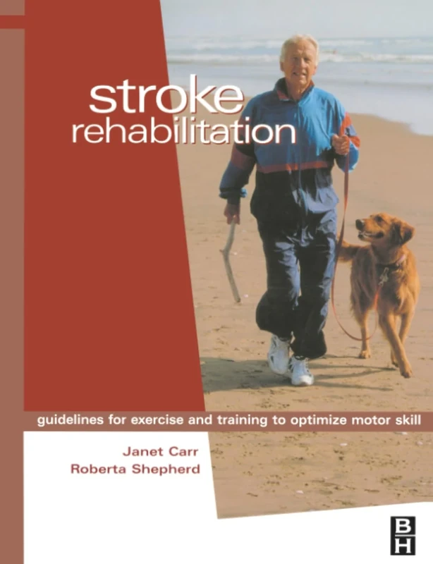 Stroke Rehabilitation: Guidelines for Exercise and Training to Optimize Motor Skill