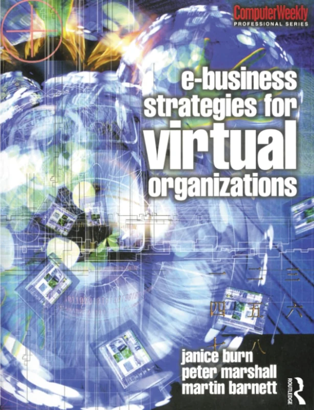 e-Business Strategies for Virtual Organizations (Computer Weekly Professional Series)