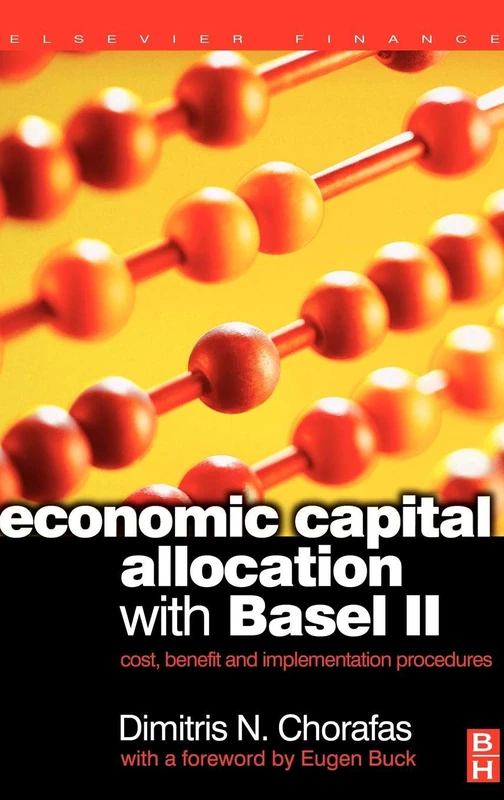 Economic Capital Allocation with Basel II: Cost, Benefit and Implementation Procedures