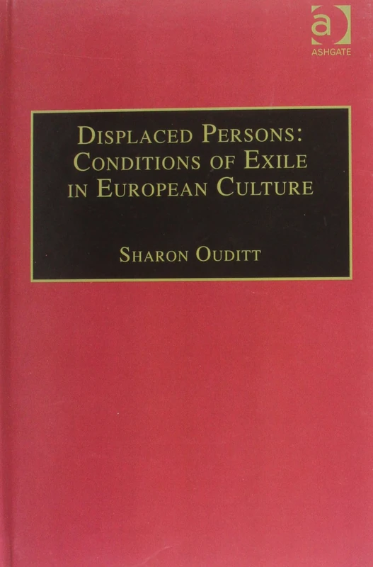 Displaced Persons: Conditions of Exile in European Culture: 14 (Studies in European Cultural Transition)