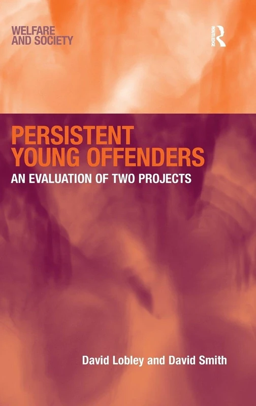 Persistent Young Offenders: An Evaluation of Two Projects (Welfare and Society)