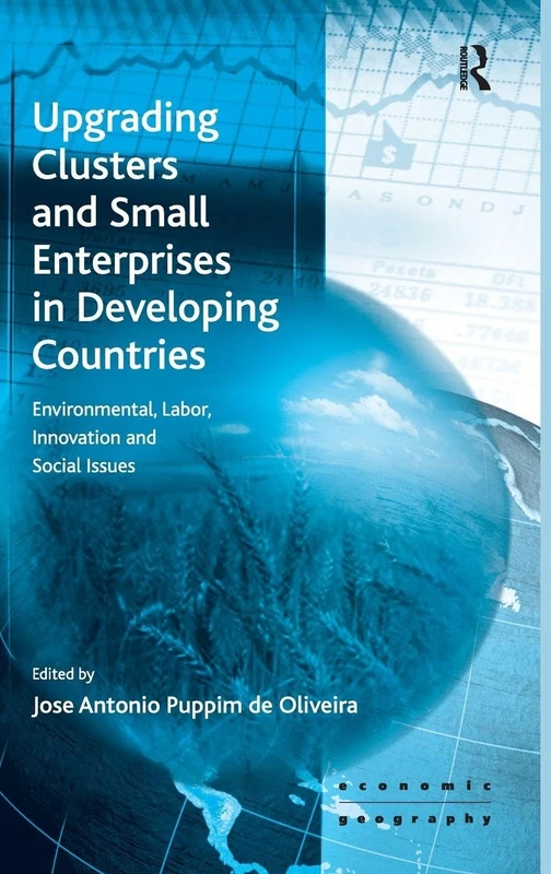 Upgrading Clusters and Small Enterprises in Developing Countries: Environmental, Labor, Innovation and Social Issues (Economic Geography Series)