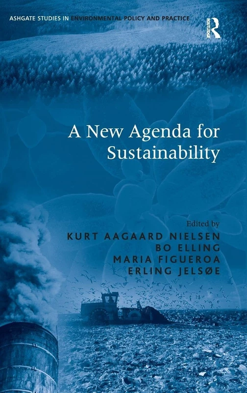 A New Agenda for Sustainability (Routledge Studies in Environmental Policy and Practice)