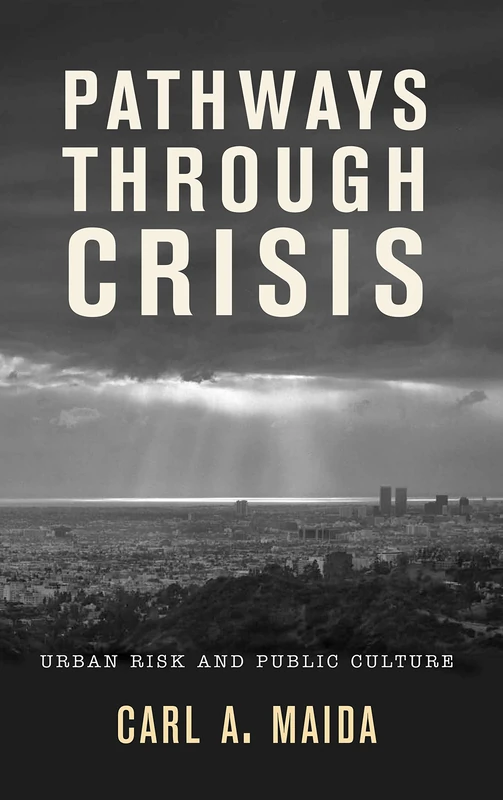 Pathways Through Crisis: Urban Risk and Public Culture - Image 1