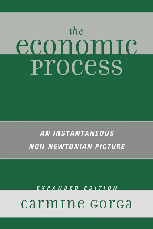 The Economic Process: An Instantaneous Non-Newtonian Picture