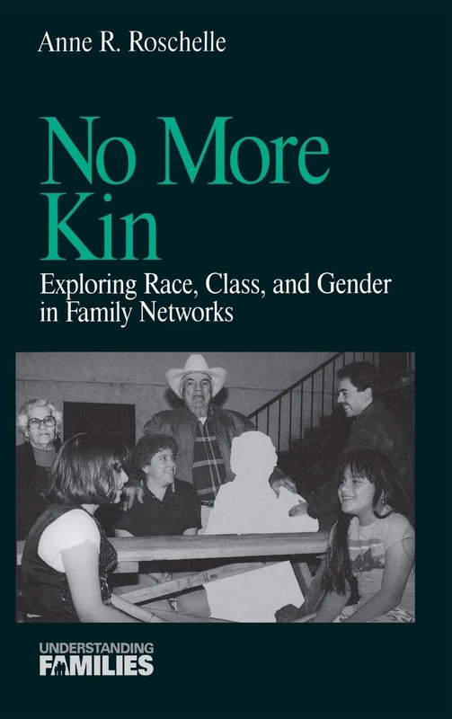 No More Kin: Exploring Race, Class, and Gender in Family Networks: 8 (Understanding Families series)