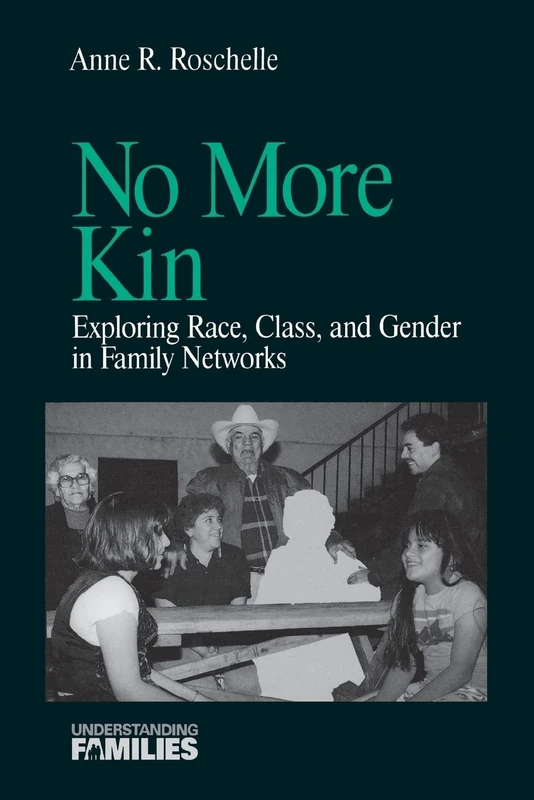 No More Kin: Exploring Race, Class, and Gender in Family Networks: 8 (Understanding Families series)