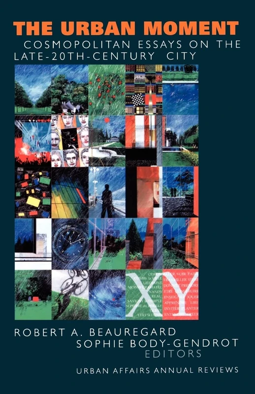 The Urban Moment: Cosmopolitan Essays on the Late 20th Century City: 49 (Urban Affairs Annual Reviews)