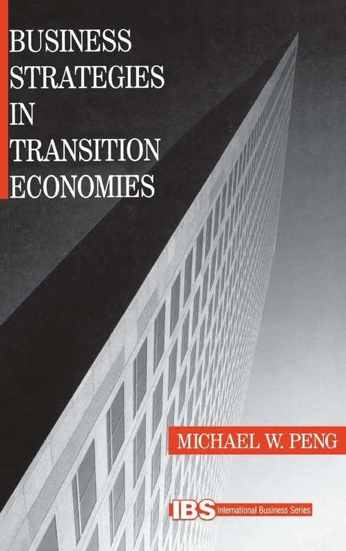 Business Strategies in Transition Economies (International Business series)