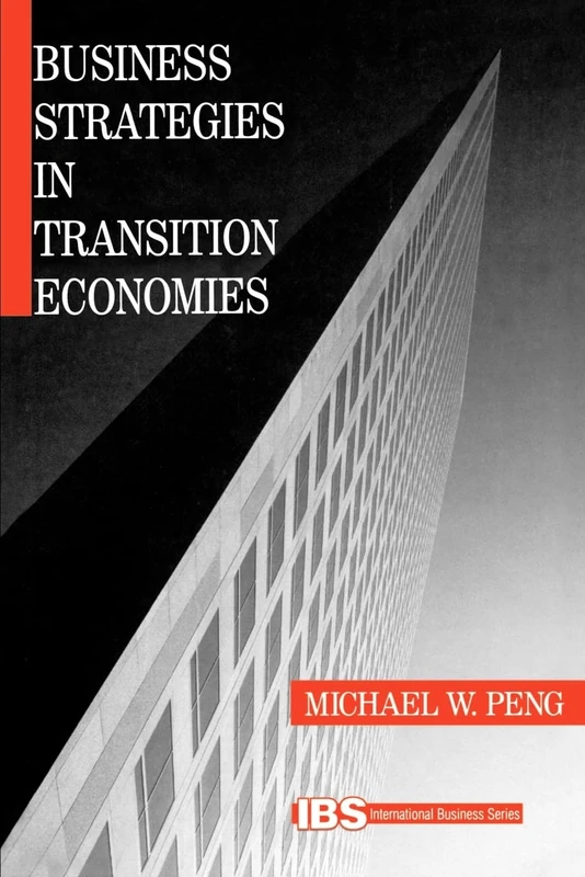 Business Strategies in Transition Economies (International Business series)