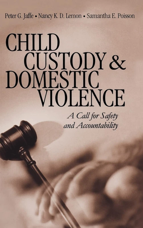 Child Custody and Domestic Violence: A Call for Safety and Accountability