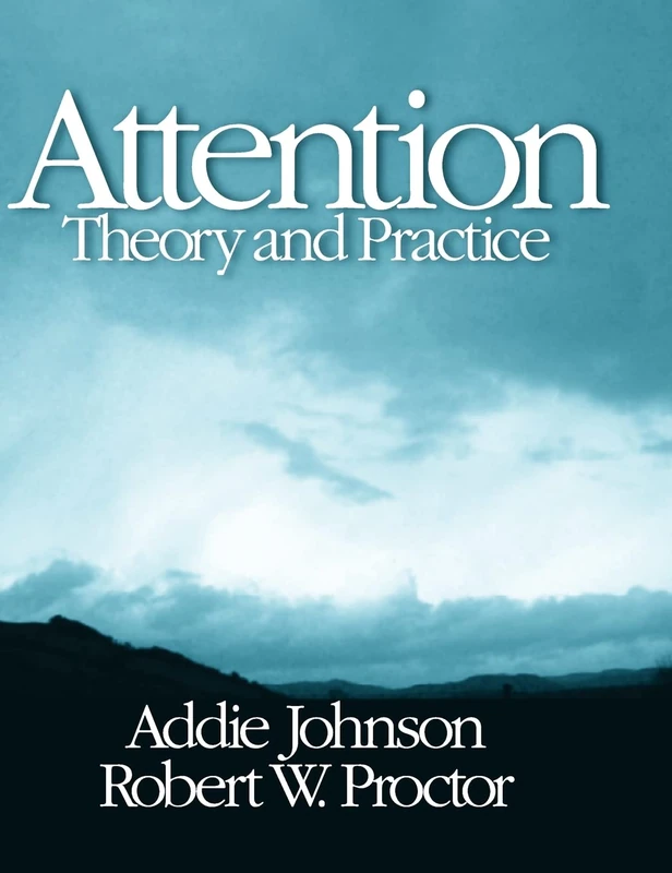 Attention: Theory and Practice