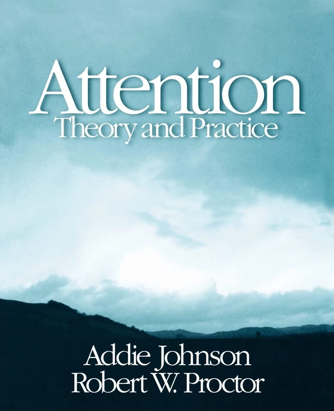 Attention: Theory and Practice