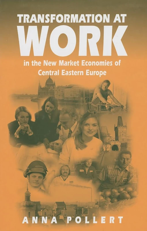 Transformation at Work: In the New Market Economies of Central Eastern Europe (Industrial Management series)