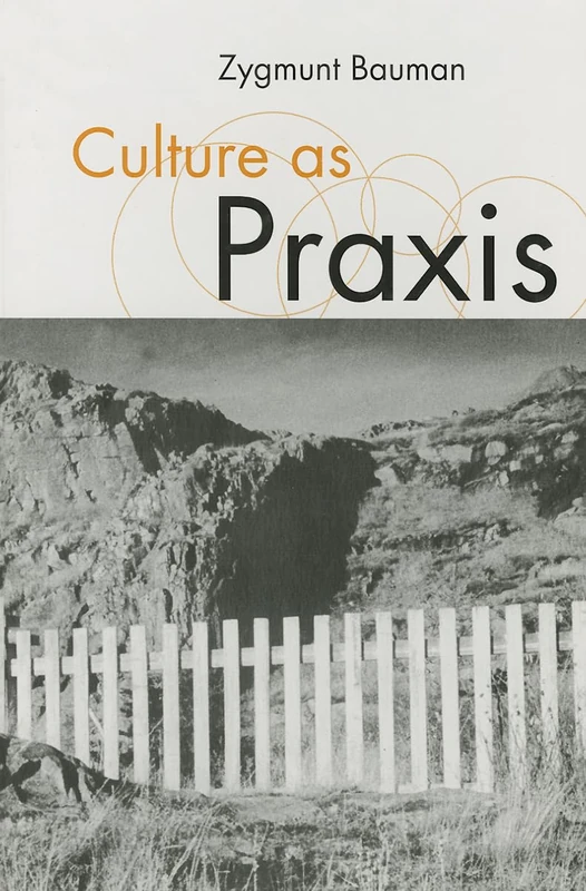 Culture as Praxis (Published in association with Theory, Culture & Society)