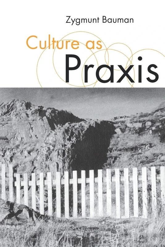 Culture as Praxis (Published in association with Theory, Culture & Society)