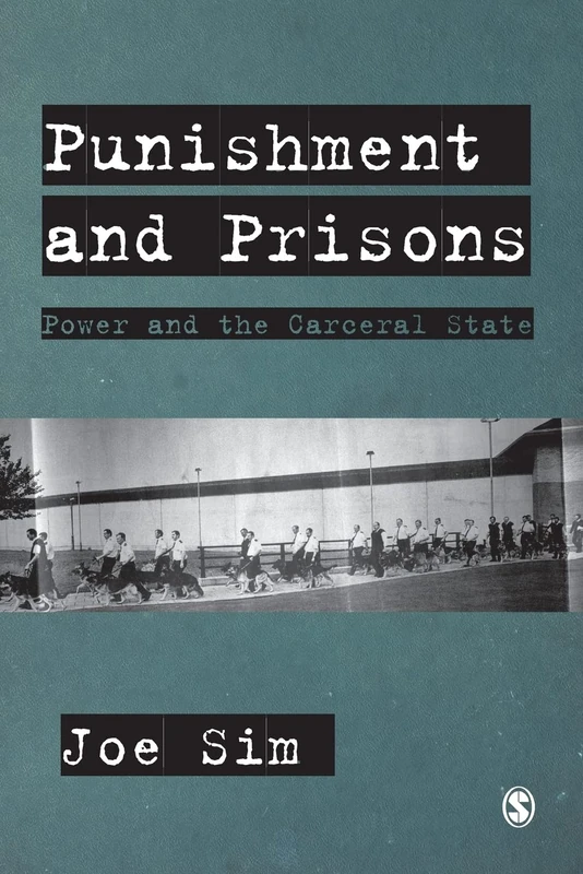 Punishment and Prisons: Power and the Carceral State