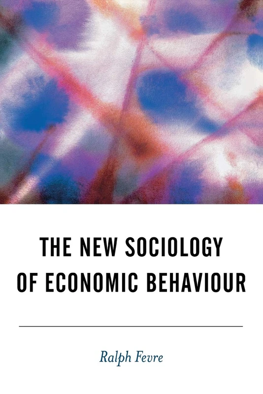 The New Sociology of Economic Behaviour (BSA New Horizons in Sociology)