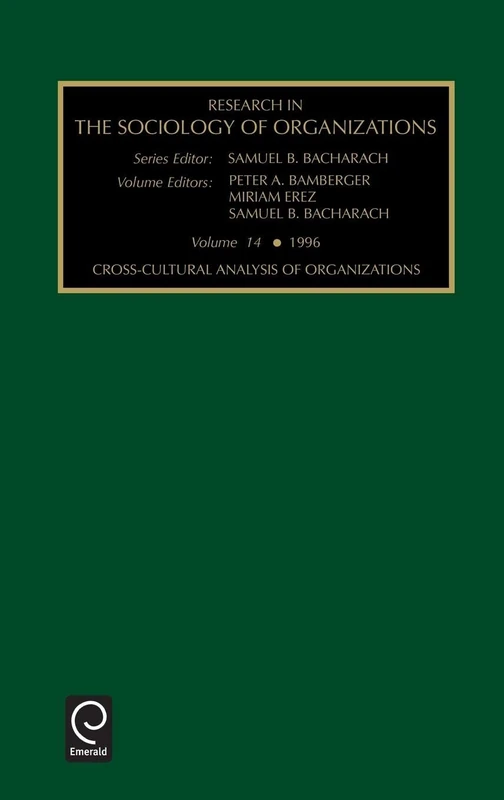 Cross-cultural Analysis of Organizations: 14 (Research in the Sociology of Organizations, 14)