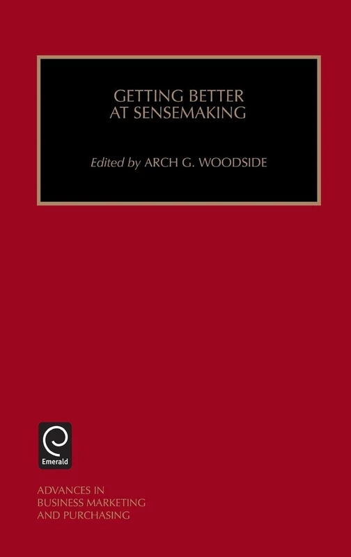 Getting Better at Sensemaking: 9 (Advances in Business Marketing and Purchasing, 9)