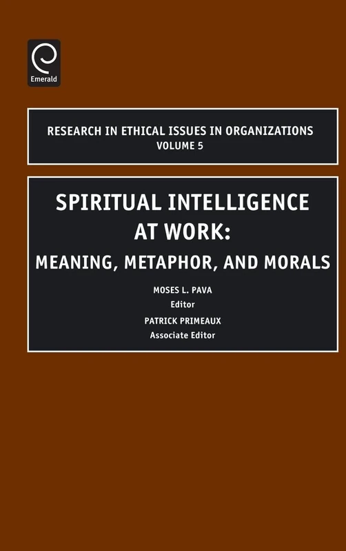 Spiritual Intelligence at Work: Meaning, Metaphor, and Morals: 5 (Research in Ethical Issues in Organizations, 5)