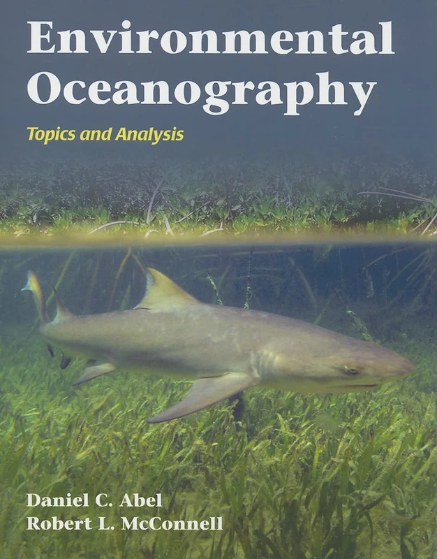 Environmental Oceanography: Towards a Sustainable Marine Environment: Topics and Analysis