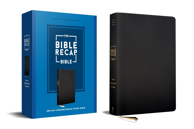 The Bible Recap 365-Day Chronological Study Bible: English Standard Version--Genuine Leather