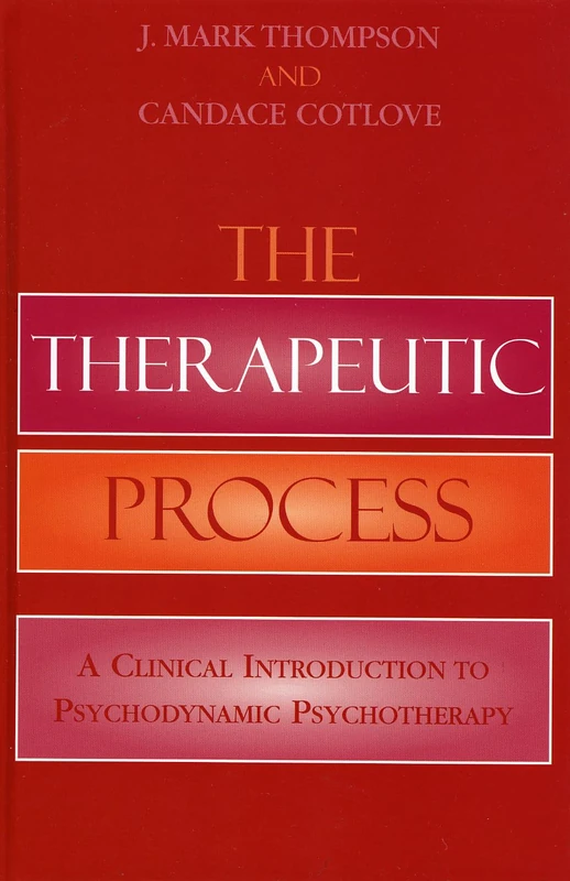The Therapeutic Process: A Clinical Introduction to Psychodynamic Psychotherapy