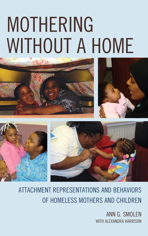 Mothering without a Home: Attachment Representations and Behaviors of Homeless Mothers and Children (Vulnerable Child) (The Vulnerable Child: Studies in Social Issues and Child Psychoanalysis) - Image 1