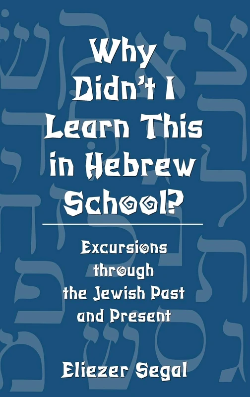 Why Didnt I Learn This in Hebrew School: Excursions Through the Jewish Past and Present