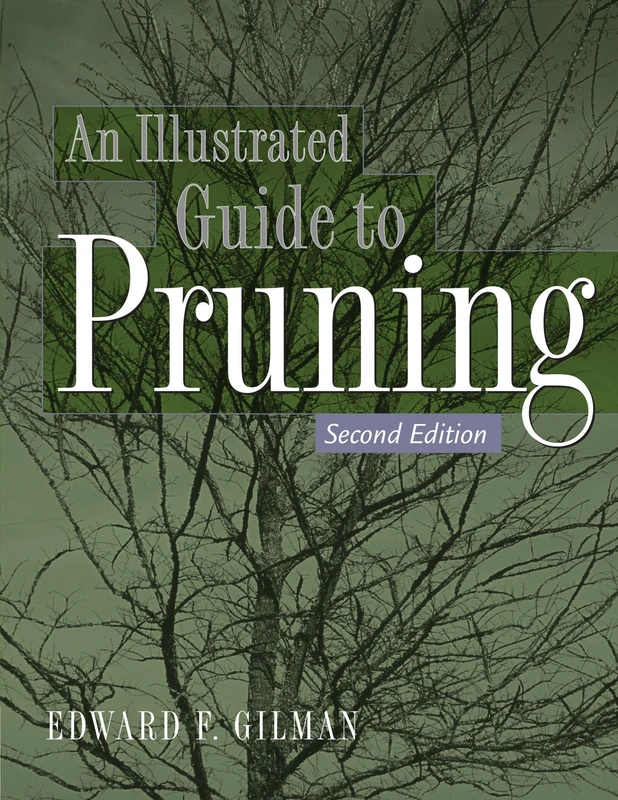 An Illustrated Guide to Pruning - Image 1