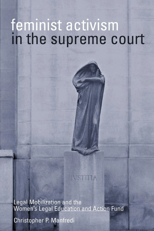 Feminist Activism in the Supreme Court: Legal Mobilization and the Women's Legal Education and Action Fund (Law and Society) - Image 1