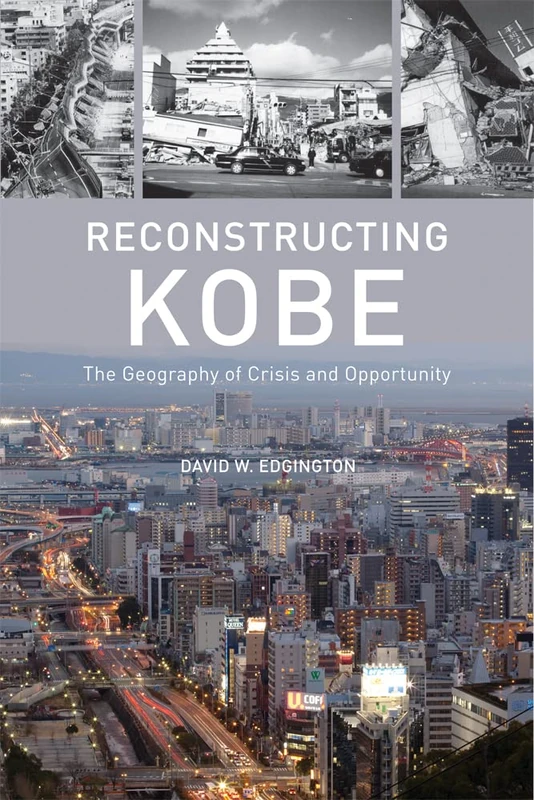Reconstructing Kobe: The Geography of Crisis and Opportunity - Image 1