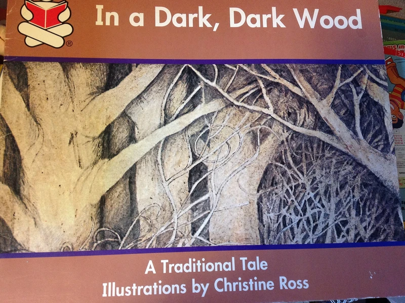 Story Box, (Early Emergent) In A Dark, Dark Wood, Big Book