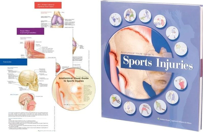 Anatomical Visual Guide to Sports Injuries - Image 1