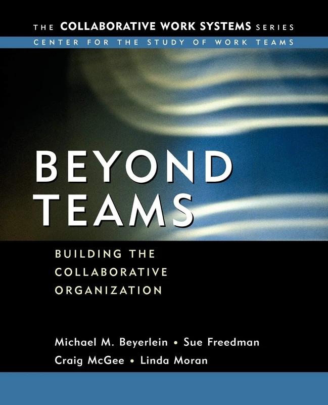 Beyond Teams: Building the Collaborative Organization: 1 (Collaborative Work Systems Series)