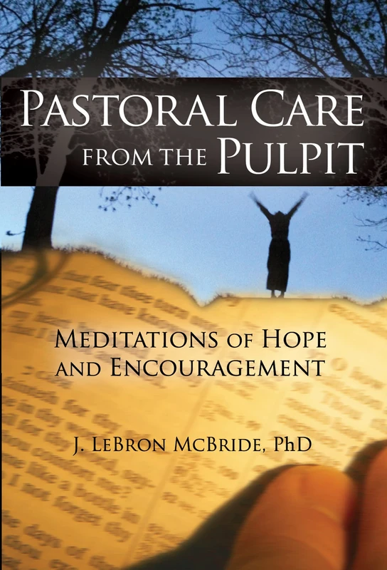 Pastoral Care from the Pulpit: Meditations of Hope and Encouragement (Haworth Series in Chaplaincy)
