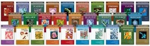 Deadly Diseases and Epidemics Set