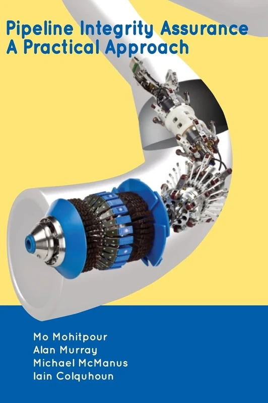 Pipeline Integrity Assurance: A Practical Approach