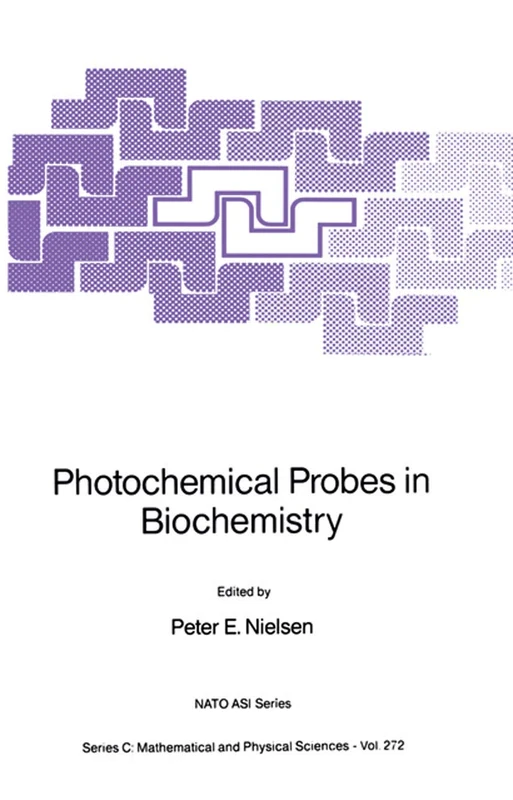 Photochemical Probes in Biochemistry: 272 (Nato Science Series C:, 272)