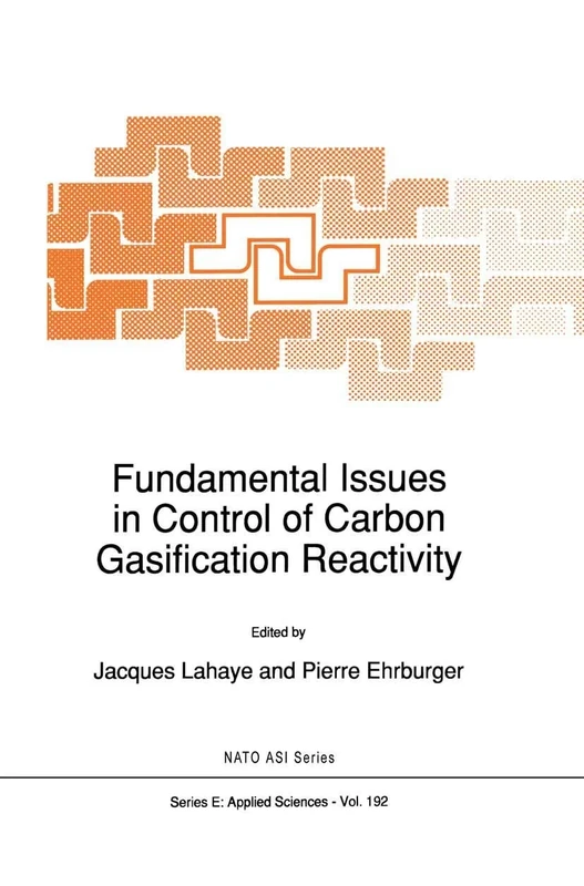 Fundamental Issues in Control of Carbon Gasification Reactivity: 192 (NATO Science Series E:, 192)