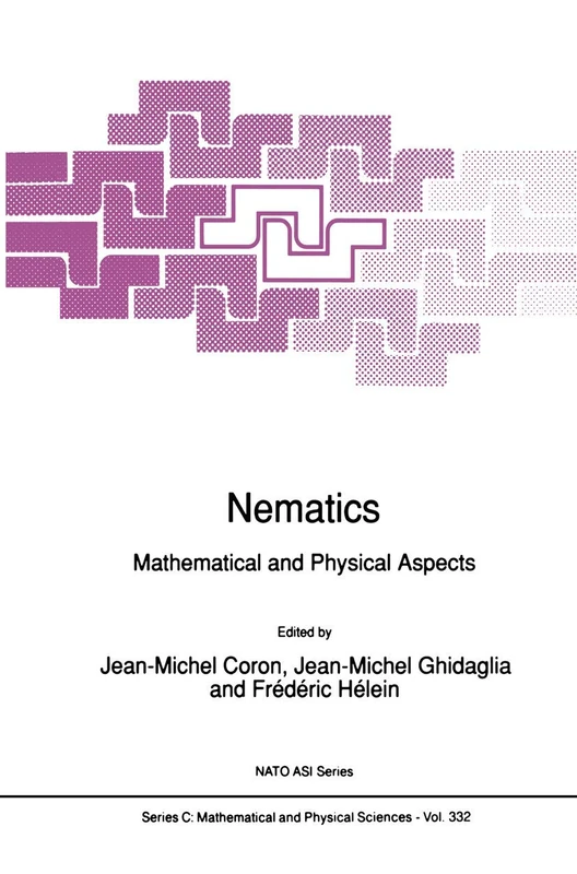 Nematics: Mathematical and Physical Aspects: 332 (Nato Science Series C:, 332)