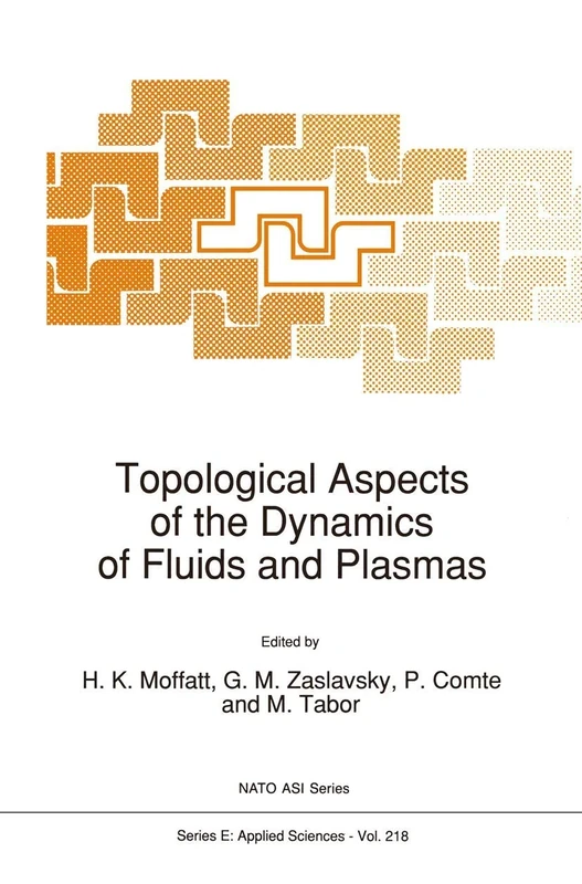 Topological Aspects of the Dynamics of Fluids and Plasmas: 218 (NATO Science Series E:, 218)