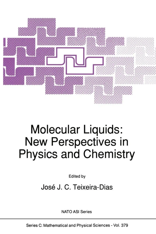 Molecular Liquids: New Perspectives in Physics and Chemistry: 379 (Nato Science Series C:, 379)