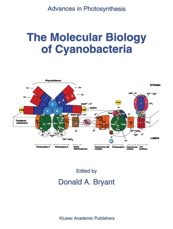 The Molecular Biology of Cyanobacteria: 1 (Advances in Photosynthesis and Respiration, 1)