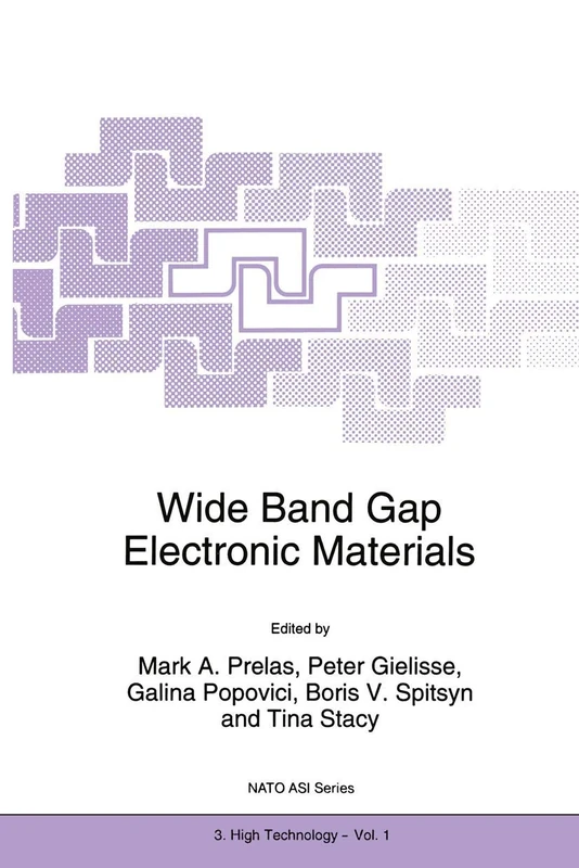 Wide Band Gap Electronic Materials: 1 (NATO Science Partnership Subseries: 3, 1)